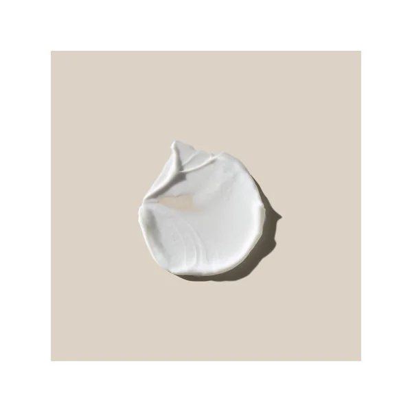 Soin Hydratant Anti-âge Teint parfait IP20 - 50 ml AHAVA