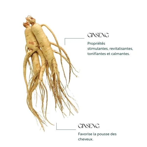 Sérum Ginseng anti-chute