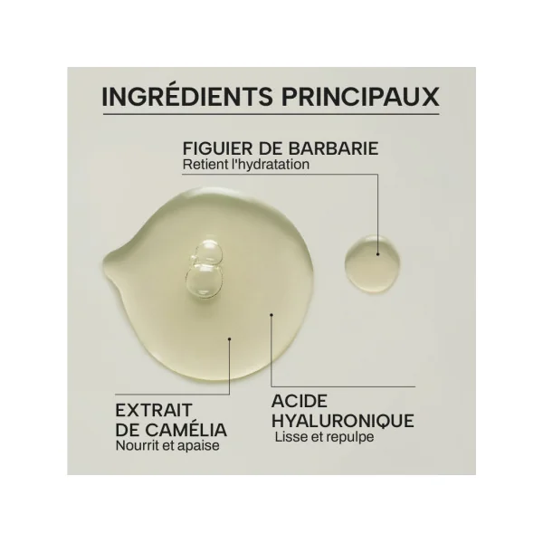 Sérum repulpant - Bio & fermenté 52ml