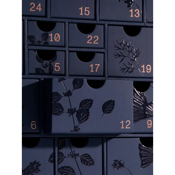 Team Dr. Joseph Advent calendar 2025