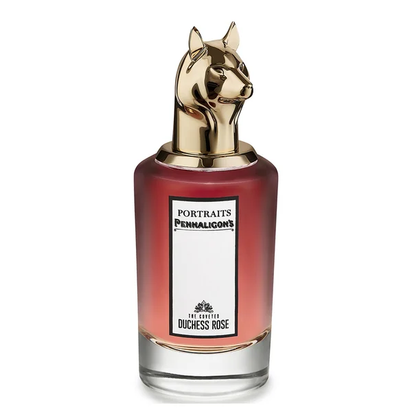 The Coveted Duchess Rose