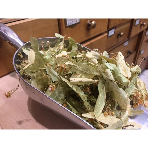 Tilleul de Carpentras bractées fleuries (Tisane en vrac)