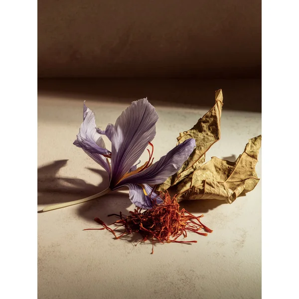 Tobacco Memories - Eau de Parfum