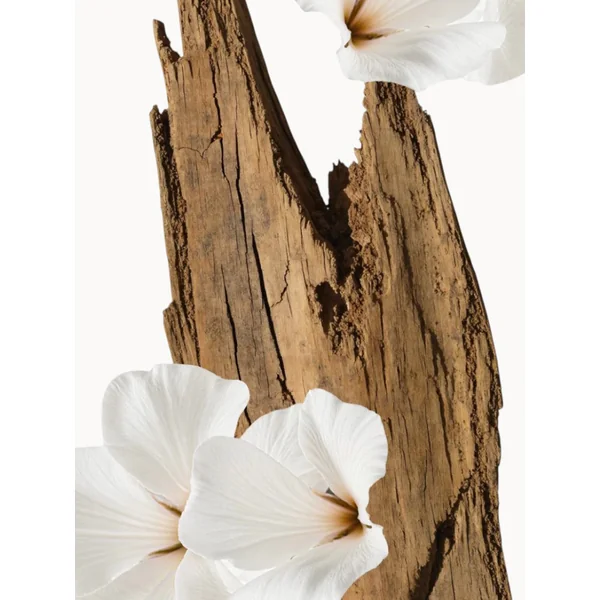 Valaya Body Cream Refill