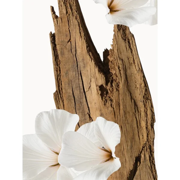 Valaya Eau de Parfum