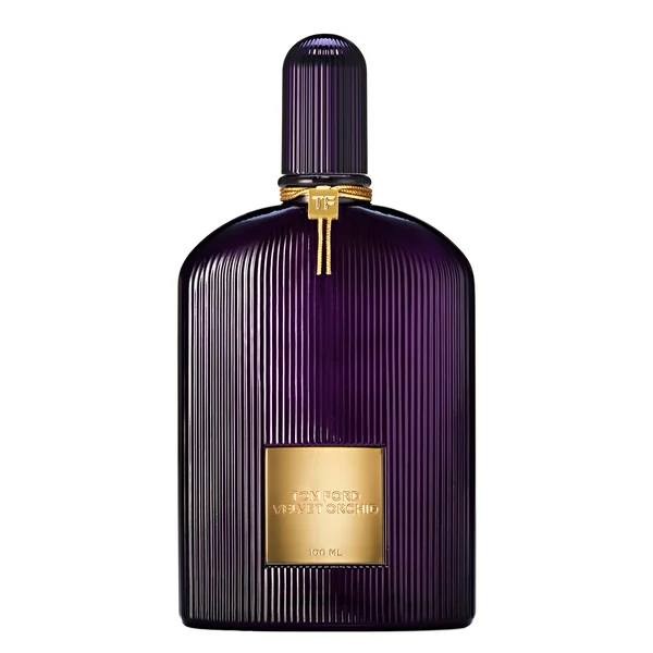 Velvet Orchid