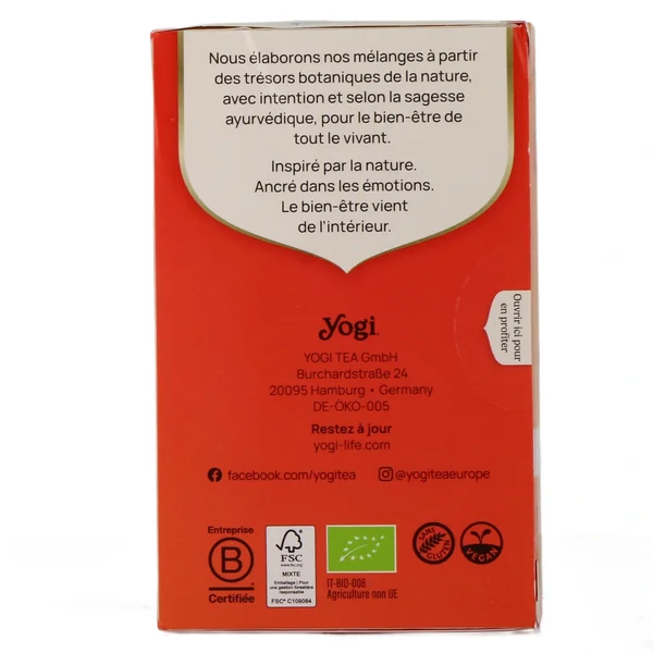 Yogi Tea Infusion à Froid